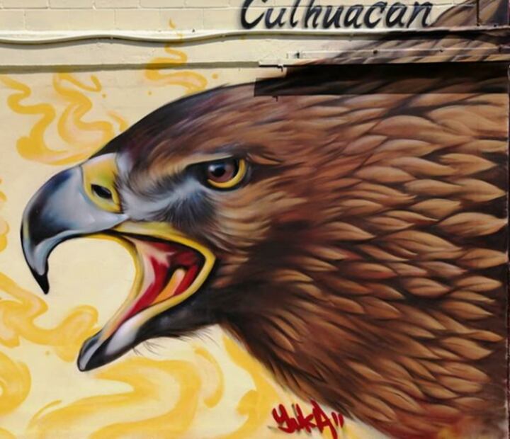 Aficionado del América plasma su pasión y conciencia social en las paredes