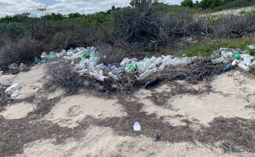 Contaminación de las playas del litoral yucateco, incluyendo Las Coloradas,  en donde estan las charcas salineras. Foto:Especial