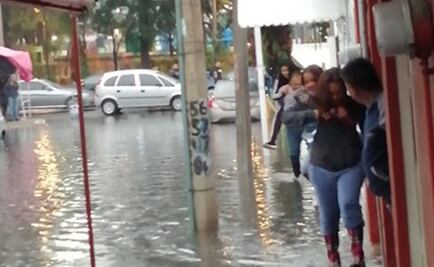 Bandera de San Jerónimo rasgada y 10 árboles caídos, saldo tras lluvias en CDMX 
