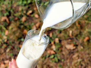 Quiénes no deben tomar leche