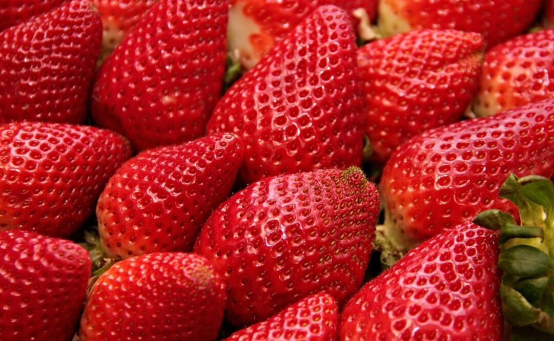 Las fresas aportan una diminuta cantidad de hidratos de carbono. (Fotos: Cortesía) 