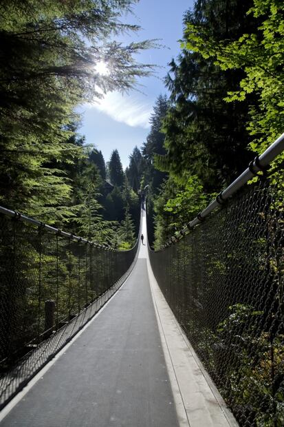 En Vancouver, visita el Capilano y otros puentes colgantes rodeados de bosque