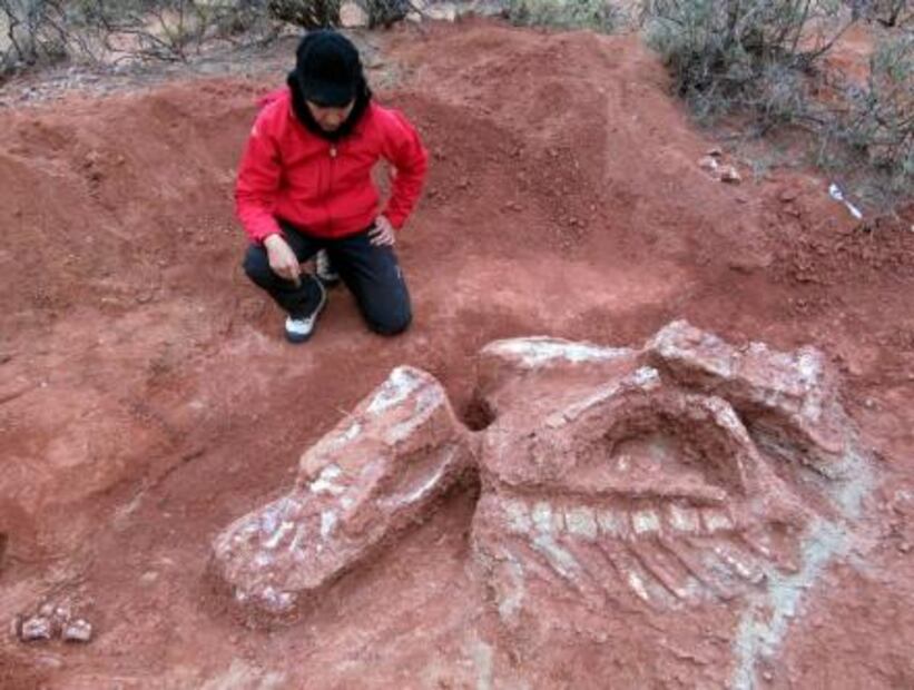 Descubren fósiles de dinosaurio gigante más antiguo
