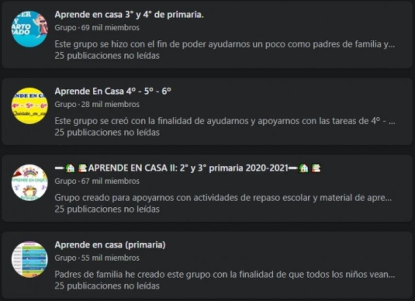 Madres y padres crean grupos en redes para facilitar clases virtuales