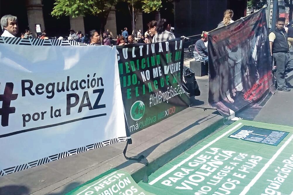 Una vez que la jurisprudencia emitida por la SCJN del uso lúdico de la marihuana esté vigente, quienes busquen beneficiarse de ella deberán tramitar un amparo contra la prohibición establecida en la Ley General de Salud. (TOMADA DE TWITTER)