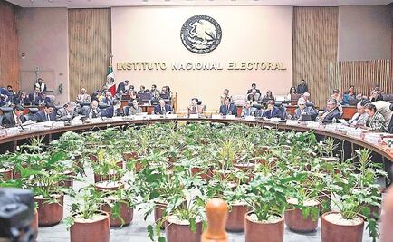 Reducción salarial divide a consejeros del INE 