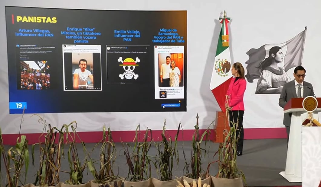 Miguel Ángel Elorza Vázquez, coordinador de Infodemia, acusó que la próxima marcha de la llamada Generación Z no es una manifestación orgánica, sino que es pagada e impulsada por la derecha internacional, y en donde, afirmó, militantes del PAN y PRI, así como el empresario Ricardo Salinas Pliego se han montado en esta campaña. Foto: captura de pantalla