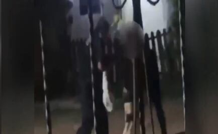 Policías de Mazatlán son identificados tras video de abuso y uso excesivo de fuerza en redes sociales