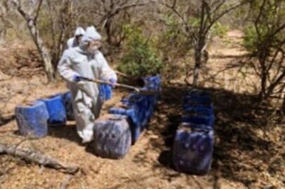 Desmantelan nueve laboratorios clandestinos en Sinaloa; suman 161 en marzo