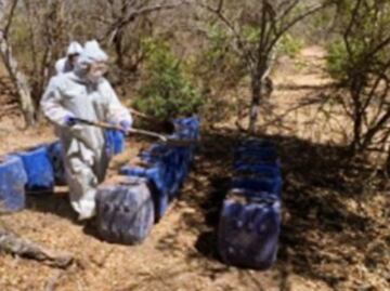 Desmantelan nueve laboratorios clandestinos en Sinaloa; suman 161 en marzo