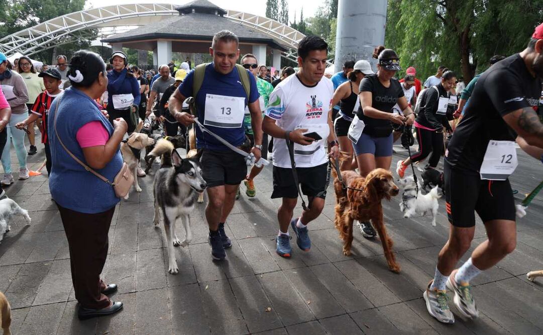 Realizan la carrera "Amas es adoptar" en Coyoacán (24/08/2025). Foto: Especial