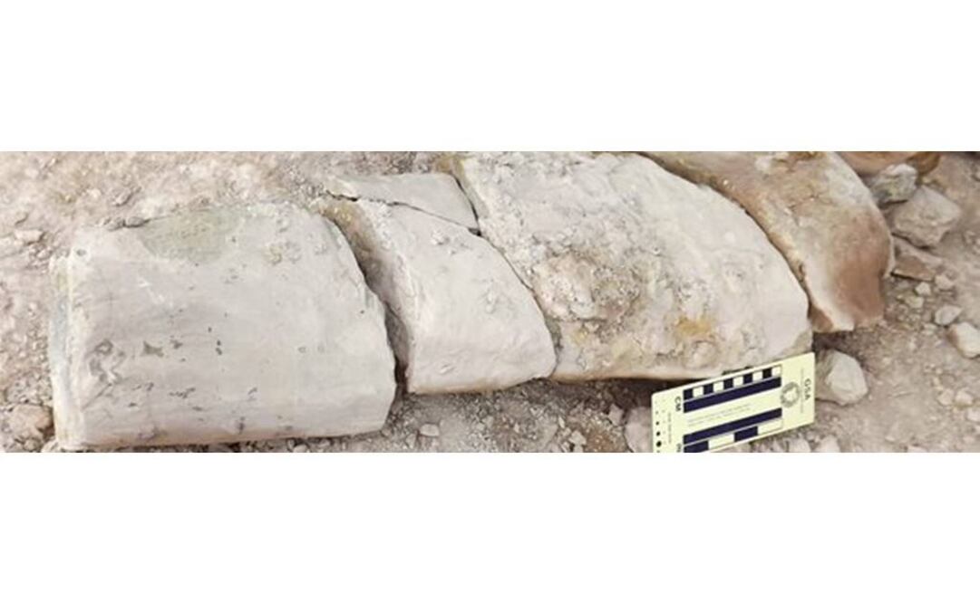 FOTO: Servicio Geológico Colombiano.