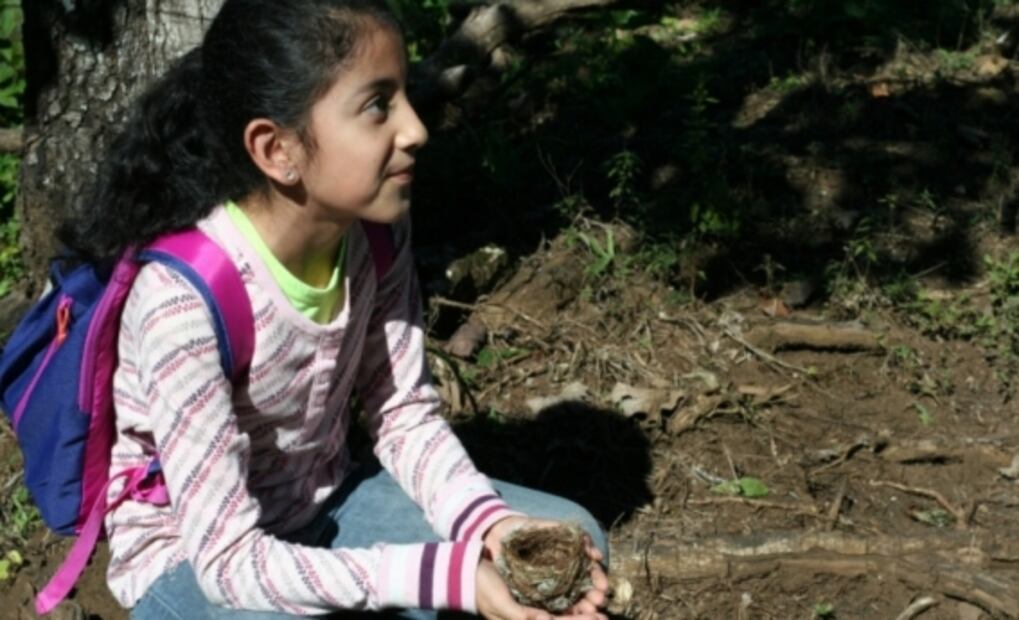 Mexican activist girl fights to save jaguars