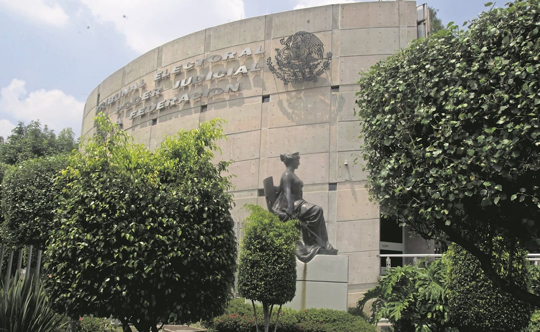 El TEPJ determinó que se permita reunir firmas en todo el país para definir si se realiza el ejercicio. Foto: Archivo/EL UNIVERSAL.