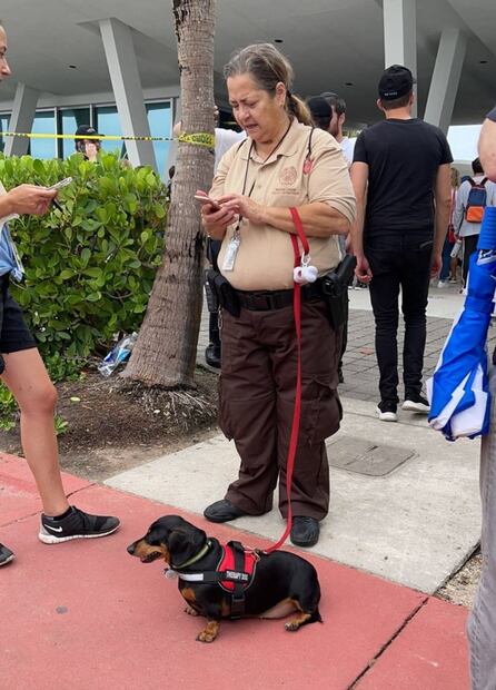 “¿Lo has visto?”: familiares buscan a sus seres queridos tras derrumbe de edificio en Miami