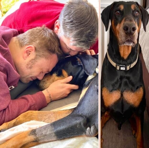 Omar Chaparro y Tiziano Ferro lloran la muerte de sus perritos 