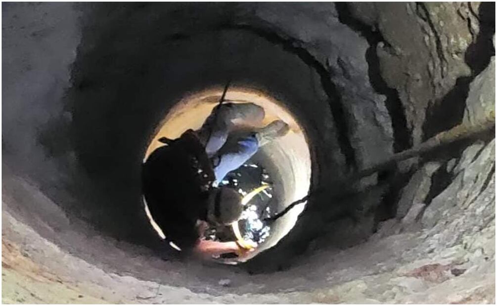 Este 1 de octubre de 2024 rescatan a perrito que cayó a un pozo en Yucatán. Foto: Especial