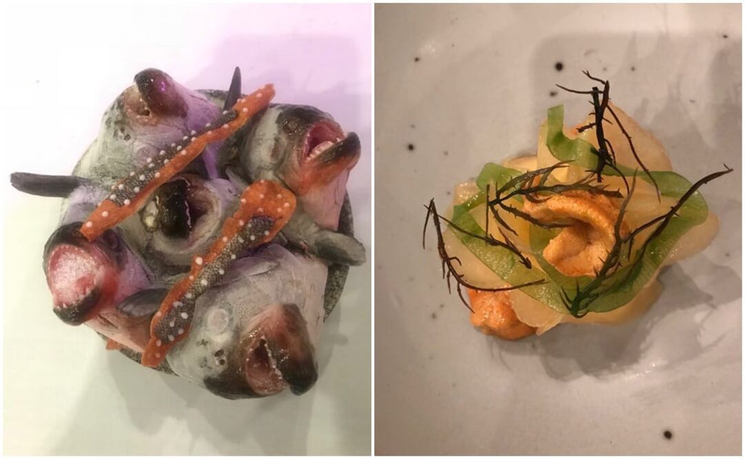 Fotos: NATALIA DE LA ROSA