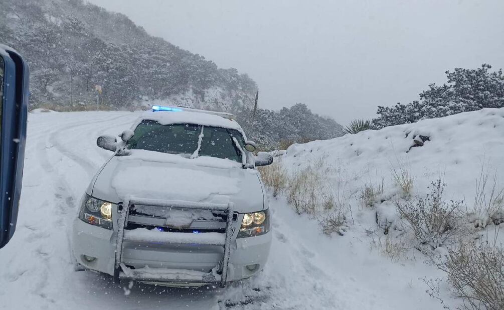 Cae nieve en Chihuahua. Foto: Webcams