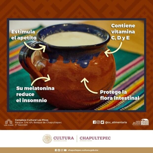 Celebra el Día Nacional del Pulque en Cencalli