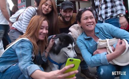 Netflix lanza tráiler de "Amigos caninos"