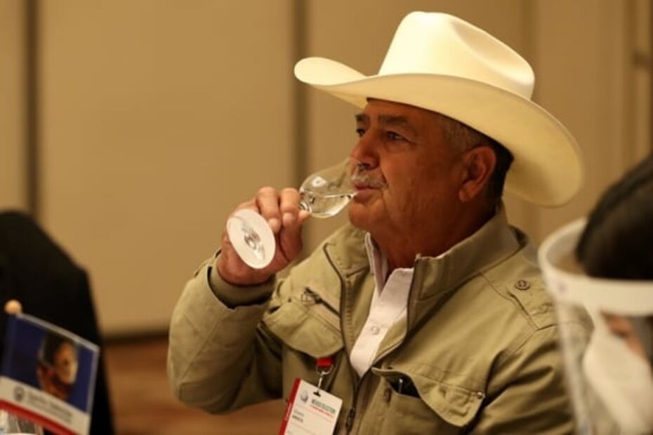 Cinco razones por las que el sotol podría ser el nuevo destilado de moda