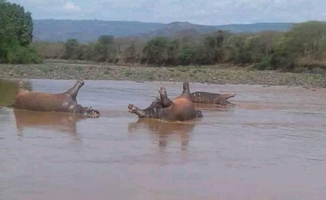 (Foto: Twitter /@Ethiopialiveupd)