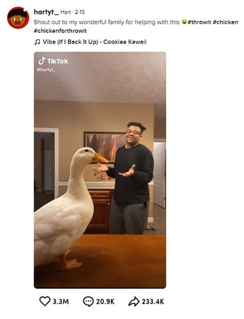 Estos son los videos más virales de 2020 de TikTok