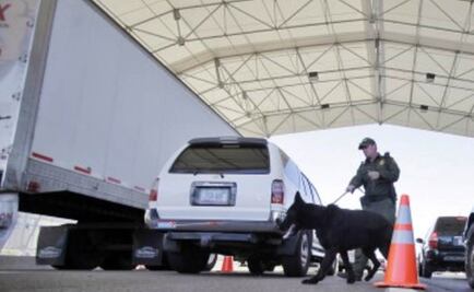 Incautan heroína y metanfetamina entre cargamento de mango