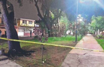 Perro saca cabeza humana de bolsas de basura abandonadas en la GAM