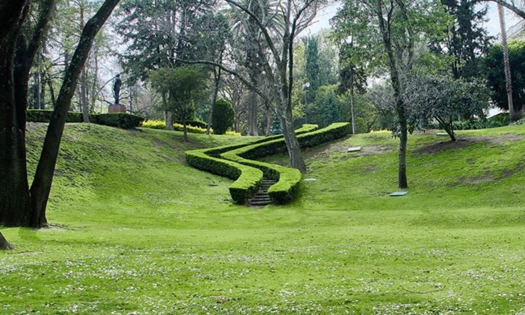 El Jardín Hondonada cuenta con terrazas de descanso y zonas diseñadas para la contemplación entre árboles y senderos verdes. Foto: Gobierno de México