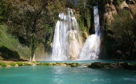 Las albercas naturales más bonitas de México