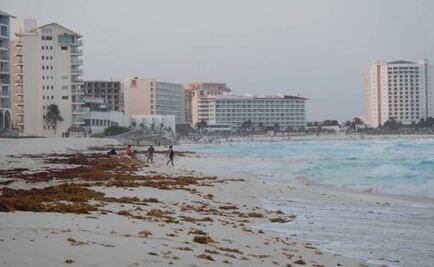 Mexico struggles to clean seaweed surge from Cancún beaches