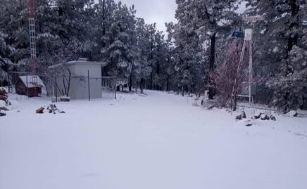 En plena primavera, nieve y aguanieve "pintan de blanco" diversos municipios de Chihuahua; no se reportan lesionados o fallecidos por las bajas temperaturas