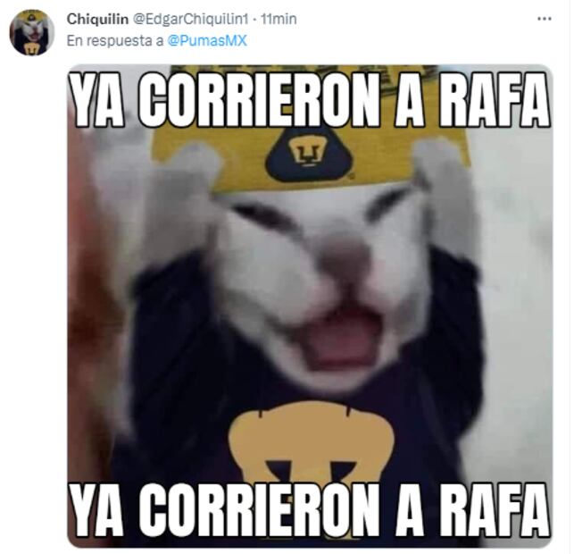 Pumas: Los mejores MEMES tras la despedida de Rafa Puente