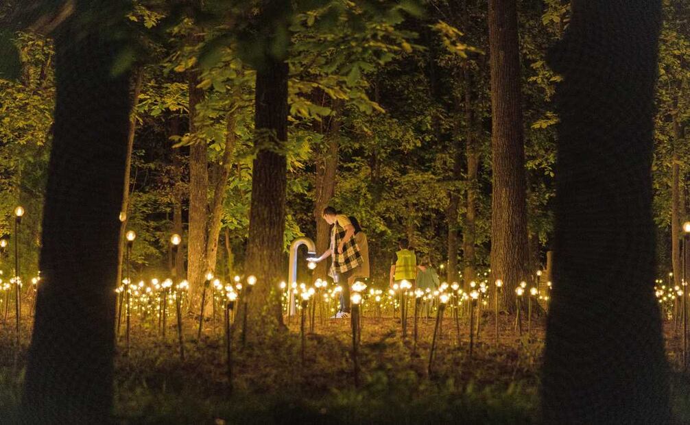 Jardín inconcluso, una exposición nocturna de instalaciones lumínicas y sonoras de Rafael Lozano-Hemmer, en el Museo de Arte Moderno. Foto: Edward Robinson
