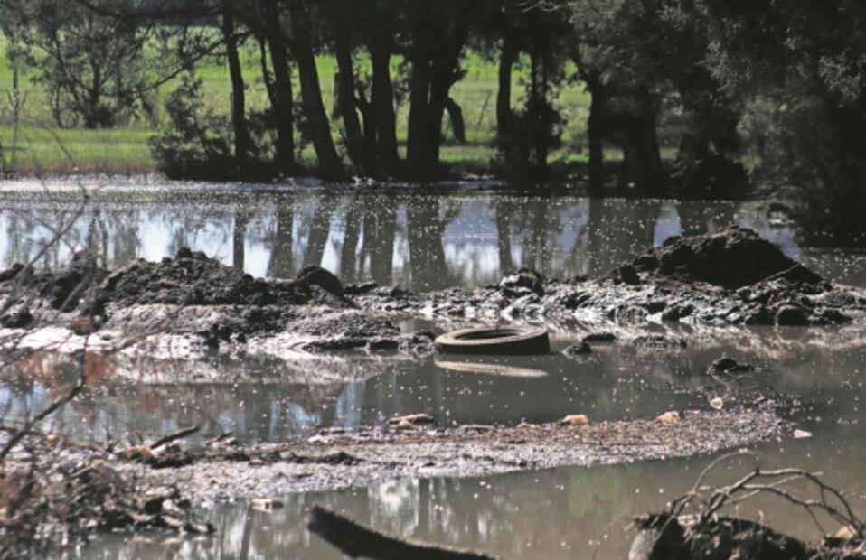 Ecocidio: convierten vida en basurero