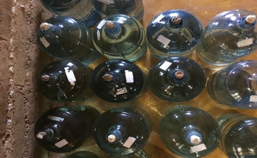 Fotos: Mariana Castillo