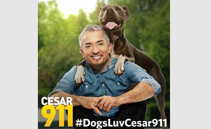 Investigan a César Millán por supuesto maltrato animal 