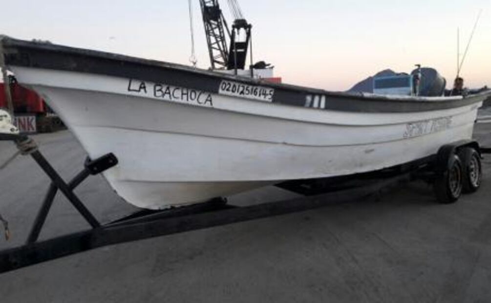 Aplican cero tolerancia en área de vaquita marina y totoaba