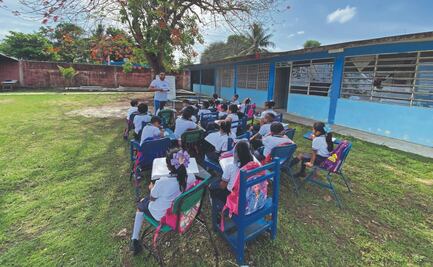 Toman clases a la sombra de un tamarindo 