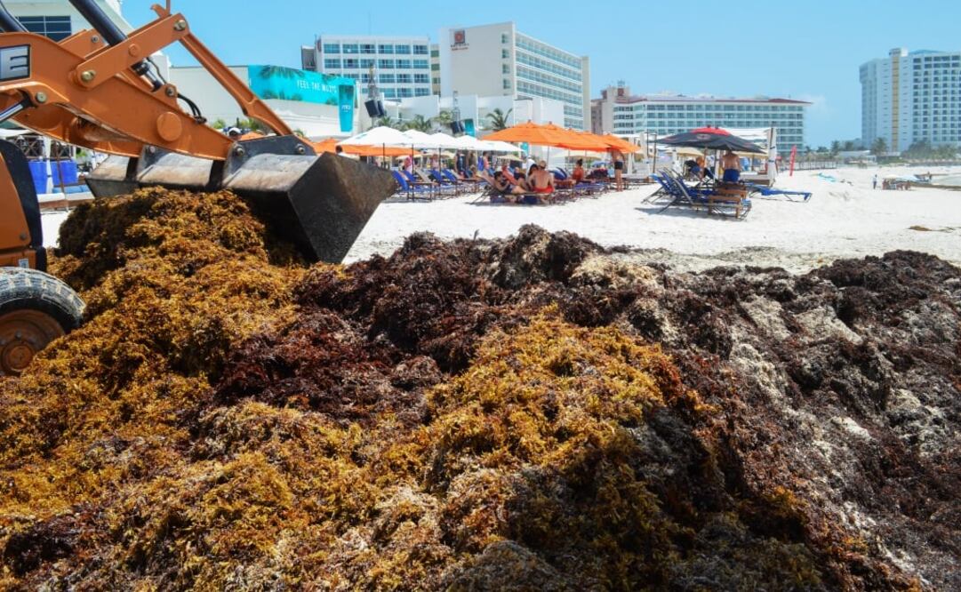 Esta semana quedará lista la primera barrera en el litoral de Quintana Roo para contener el sargazo.  (Foto: Adriana Varillas/ EL UNIVERSAL)