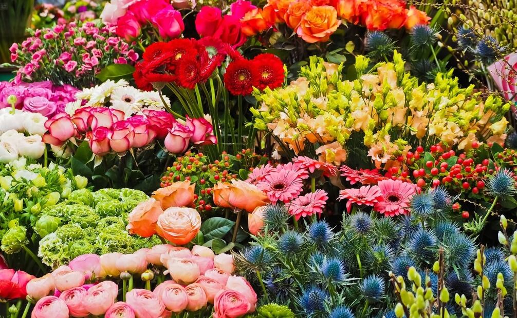 El mercado de flores de la Alcaldía Xochimilco. Foto: Pixabay