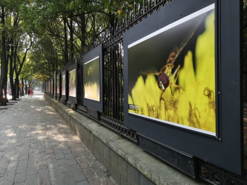 "Visiones de nuestra naturaleza" deleita desde Chapultepec
