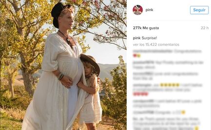Pink sorprende con nuevo embarazo