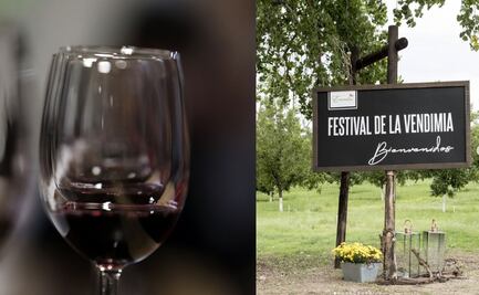 Con sus mejores etiquetas, Encinillas celebra su vendimia 2022