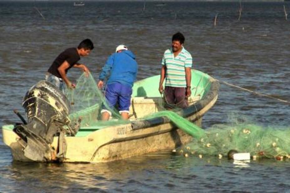 Pescadores de tiburón retaron al mar por necesidad; no volvieron