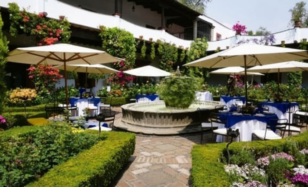 7 cosas que hacer cuando visites el barrio de San Ángel