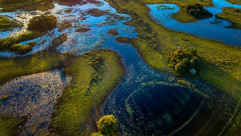 Crónica de una muerte anunciada: Cuatro Ciénegas