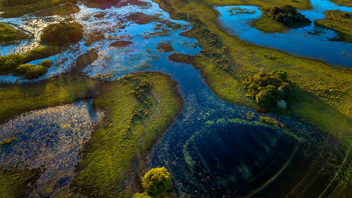 Crónica de una muerte anunciada: Cuatro Ciénegas